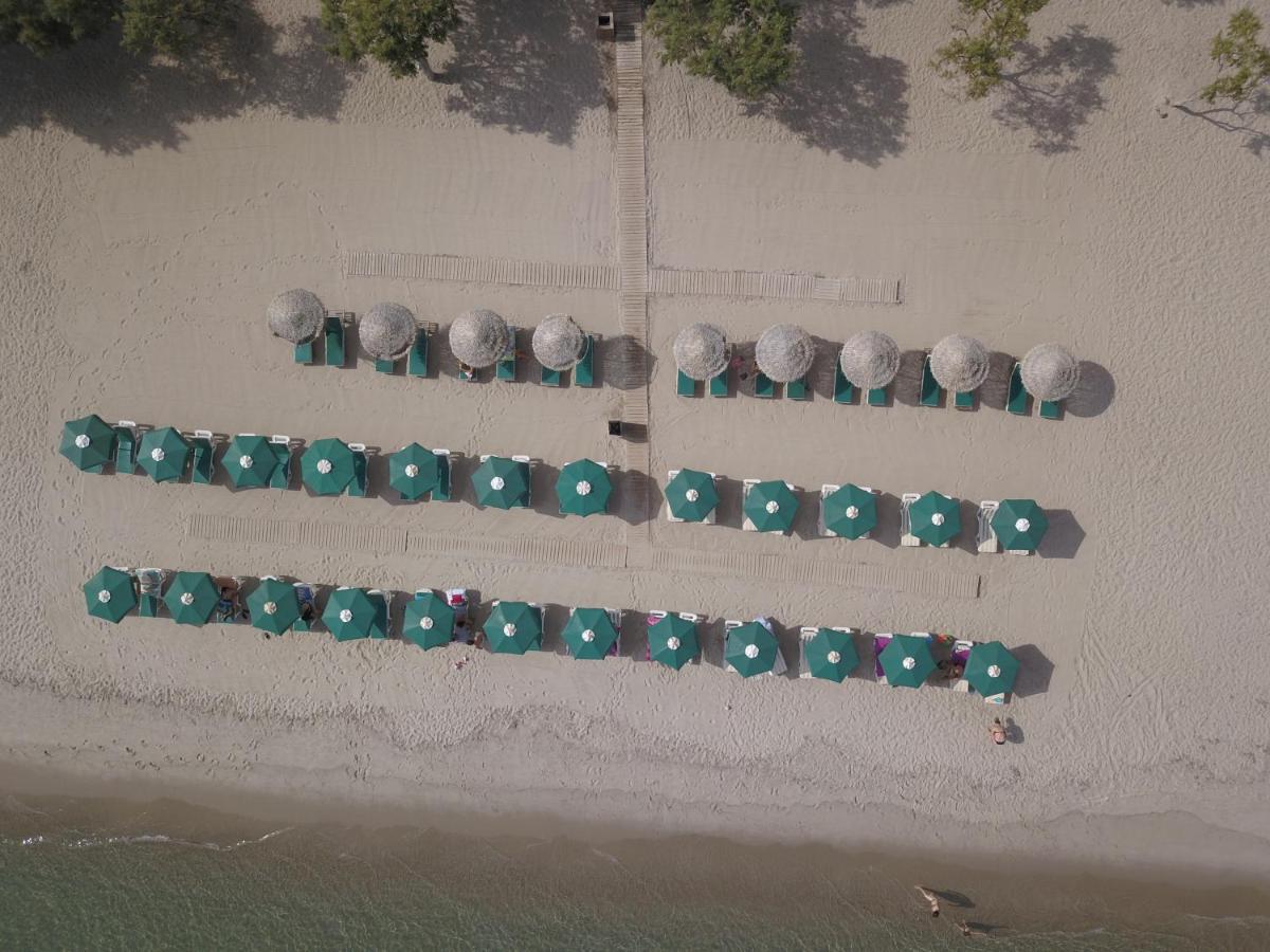 Akti Dimis Hotel ตีกากี ภายนอก รูปภาพ